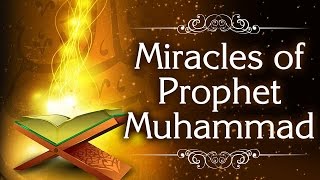 Download Lagu Preaching Islam In Usa MP3 Preaching Islam In Usa