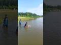 Net Fishing Viral Traditional Cast Net Fishing #fishing #vairalshort