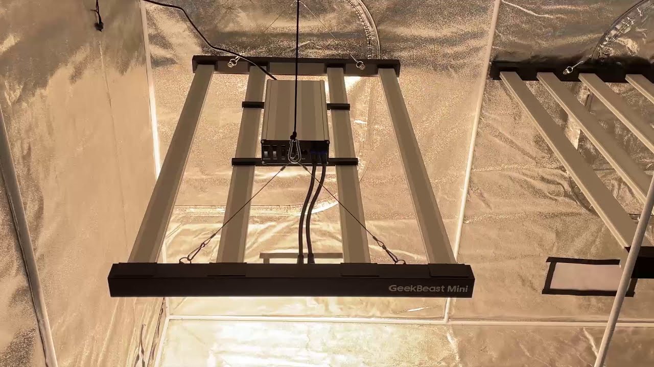 2021 The Newest Led Grow Light GeekBeast Mini 480W LM301B/H Meanwell Drive  From GeekLight