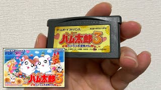 20年前のハム太郎のゲーム「ラブラブ大冒険でちゅ」が神ゲーすぎる件