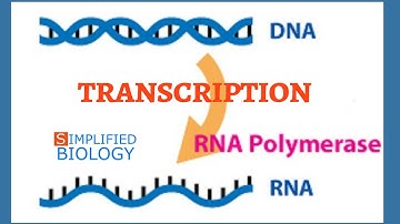 TRANSCRIPTION for NEET, AIPMT, AIIMS, MCAT, JIPMER, PREMED.