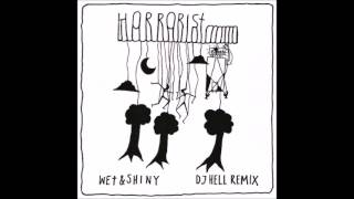 The Horrorist - Wet & Shiny (DJ Hell's 2013 Rework)