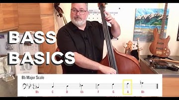BASS BASICS: Double Bass Technique for Beginners