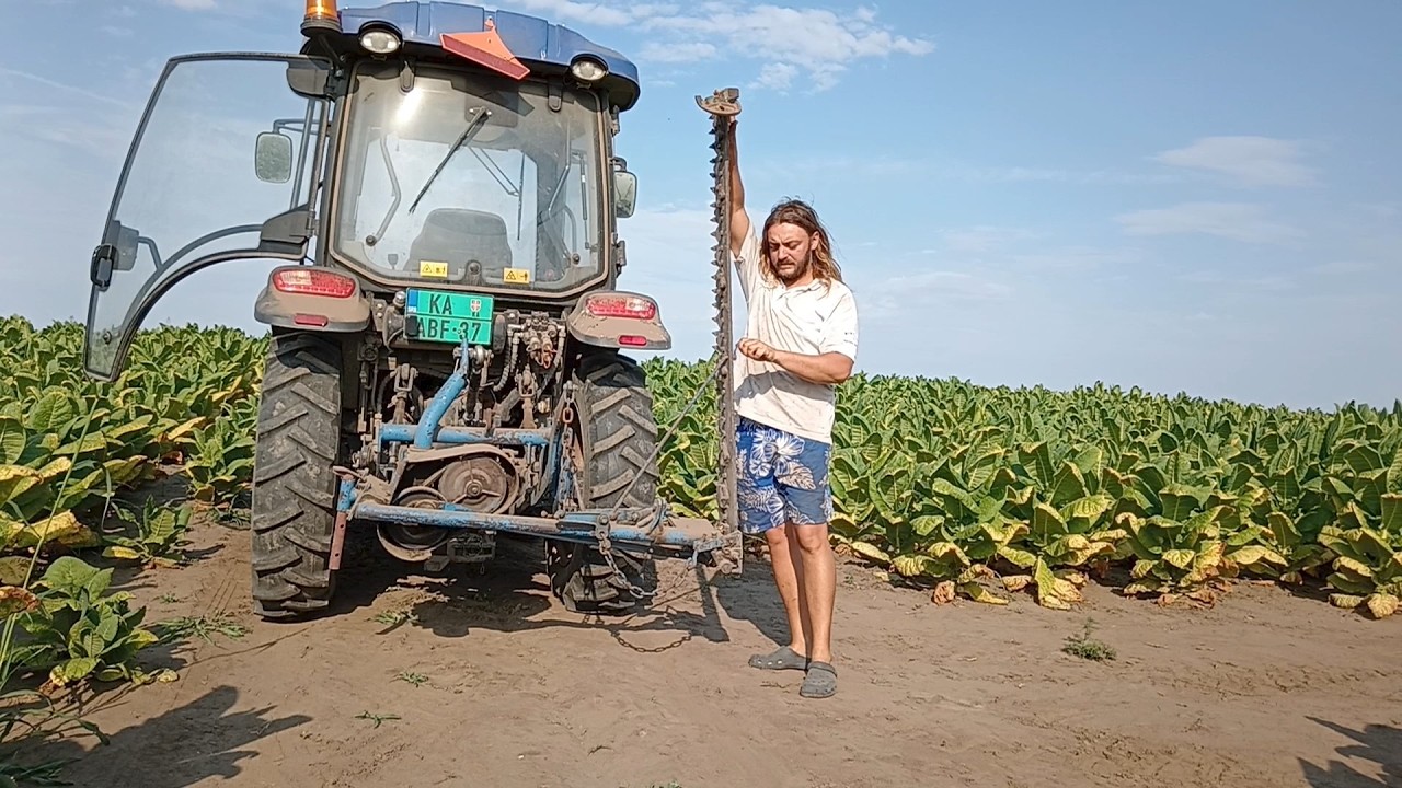 ESŐTÁNC | 14. rész | Statisztika |