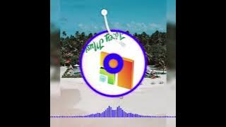 Dunnie-DND(WILDJAY REMIX) 2023 Prod:Josey Music