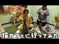 人生初の猫カフェに行ってみた