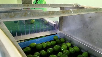 Avocado equipment