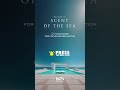 🎧 Barcelona Shore Escape | Deep House Relax Mix #barcelonasessions