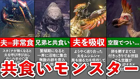 歴代モンハン 過酷な生態を持つモンスター7選 ゆっくり解説 Mp3
