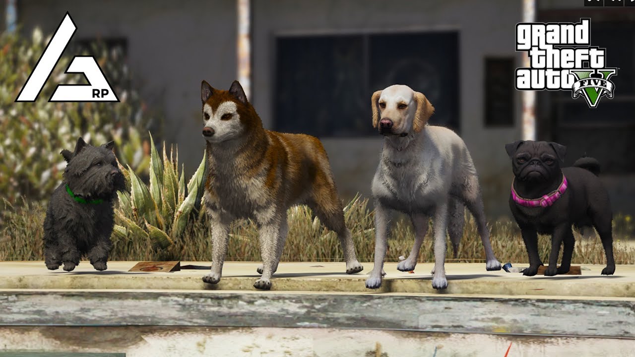 GTA 5 Roleplay - ARP - #241 - Paw Patrol.