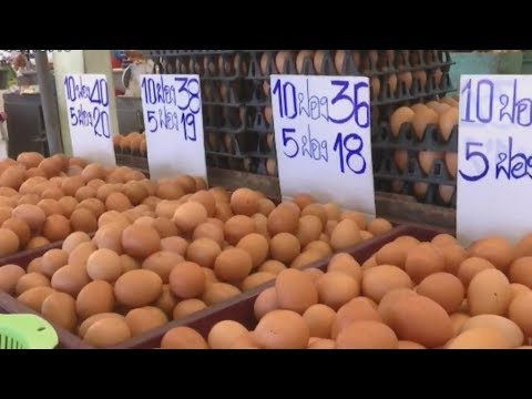 รมว.เกษตรฯ ต่อสายตรง 2 ยักษ์ใหญ่ ซีพี-เบทาโกร ช่วยแก้ปัญหาราคาไข่ไก่ ภายใน 3 วัน