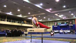 Allan Bower - Pommel Horse - 2014 Winter Cup Challenge Finals