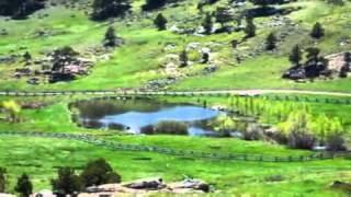 About Wagonhound Wealth