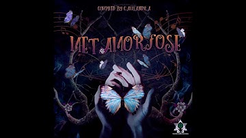 Source Error - Doll Heart