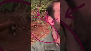 Are animals safe at The Asher House?