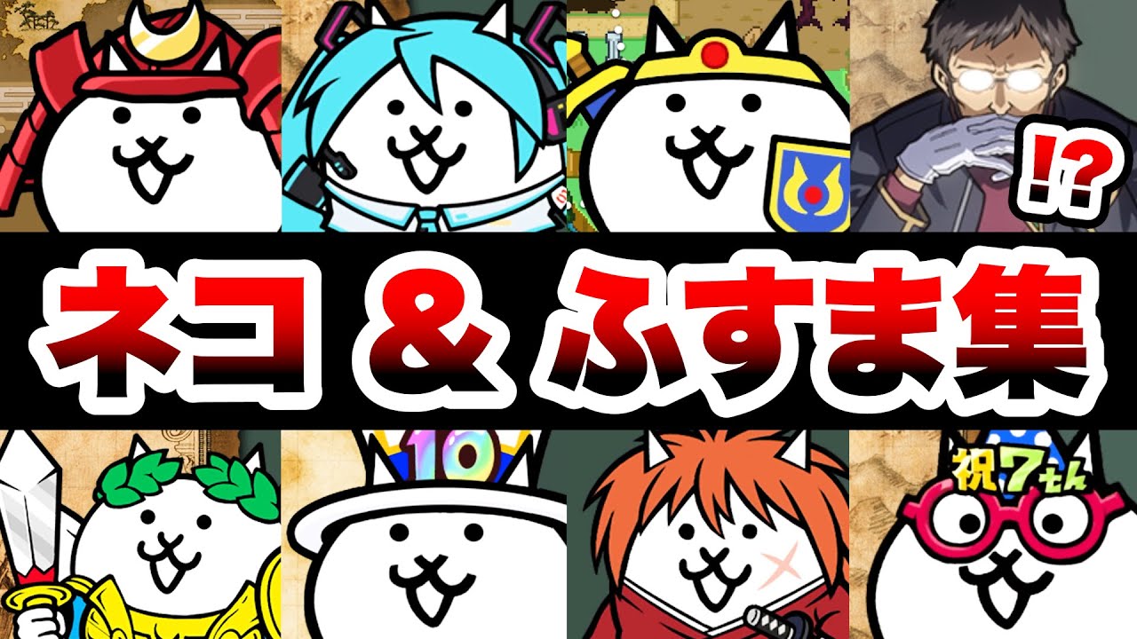 活動歴および当時の関連ビジュアル記録