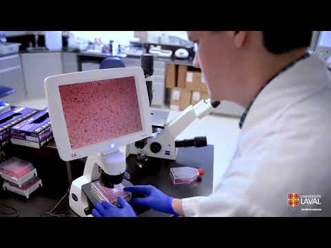 Vidéo: Qu'est-ce que la concentration en sciences biomédicales?