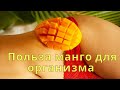 Польза манго для организма человека. Полезные свойства