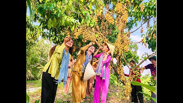 LỄ 30/4 VỀ RỪNG TRÀM U MINH HẠ ĐI LẤY ONG MẬT, ĂN VƯỜN DÂU DA, BẮT CÁ ĐỒNG TẠI DU LỊCH MƯỜI NGỌT