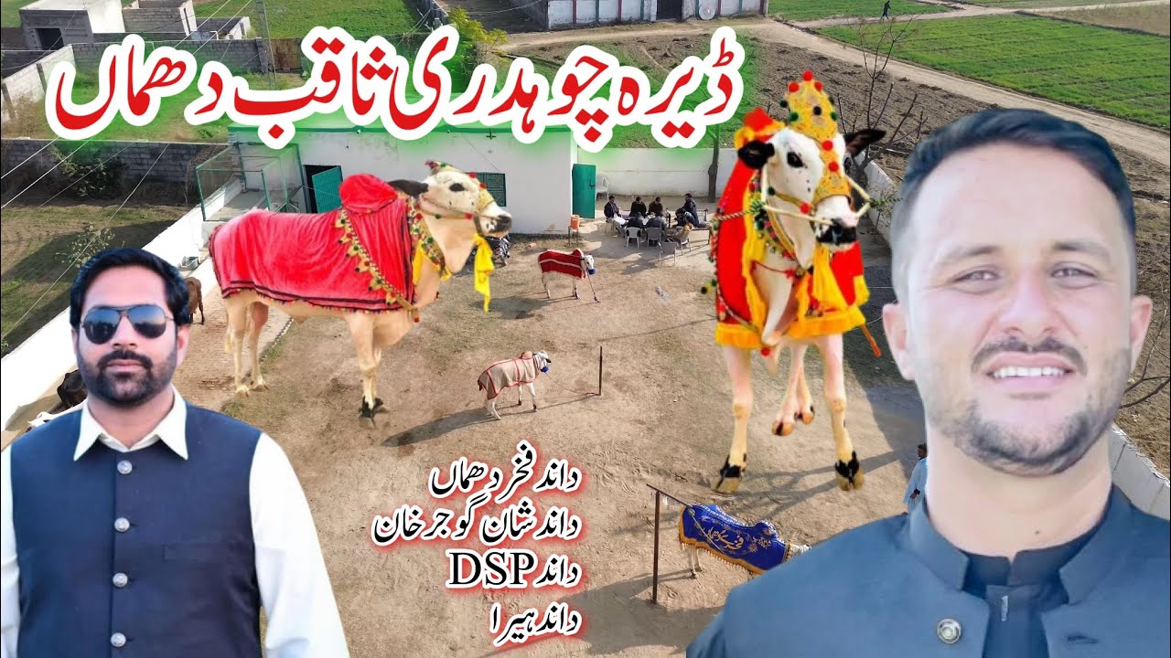 Interview Ch Saqib Dhumma Gujar khan || Explore Potohar