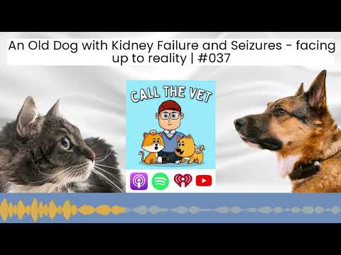 An Old Dog with Kidney Failure and Seizures - facing up to reality | #037