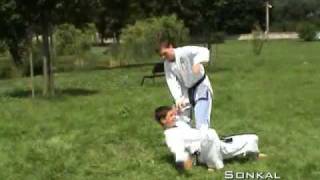 2006-Taekwon-do demo
