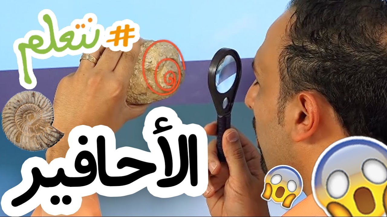 #نتعلم: متحف الأطفال - الأحافير Fossils