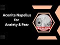 Aconite Napellus: The Secret Remedy for Sudden Fear & Anxiety?