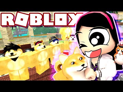All The Wonders That Is Of Doge Roblox Roleplay Doge Research Tycoon Dollastic Plays Youtube - roblox doge tycoon morph in to a doge and become a