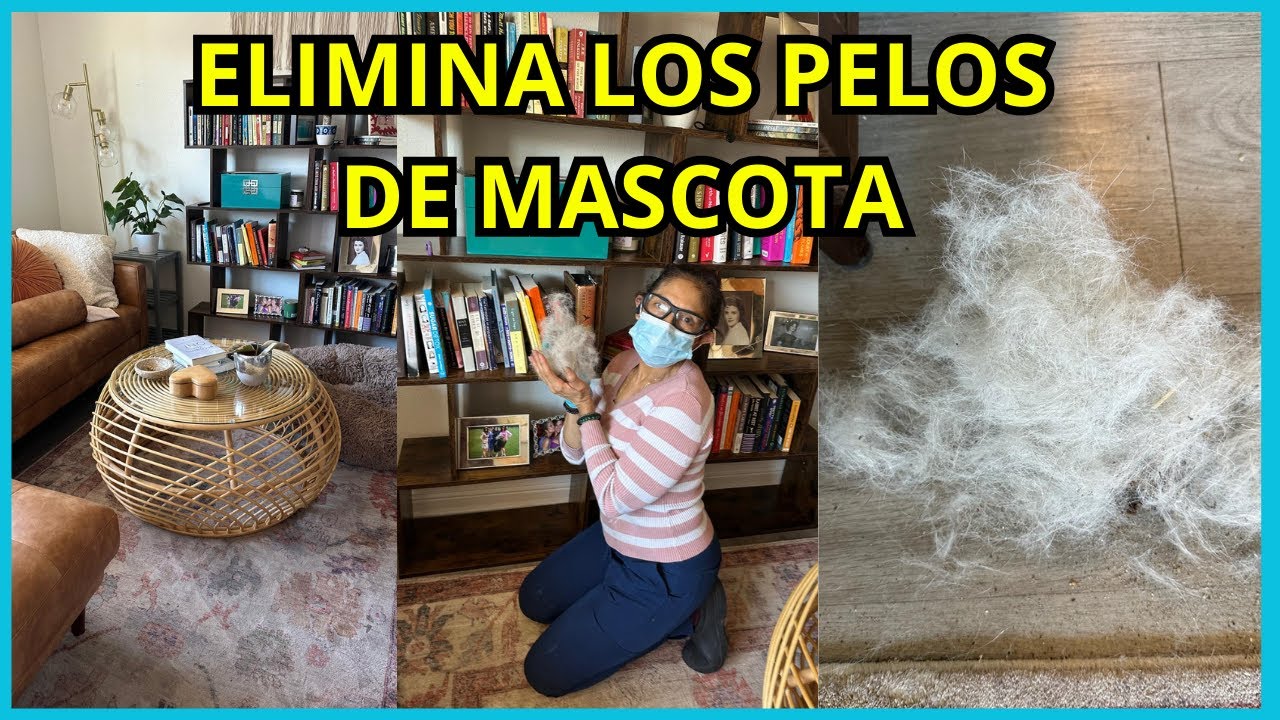 Aprende a LIMPIAR los PELOS de tu mascota