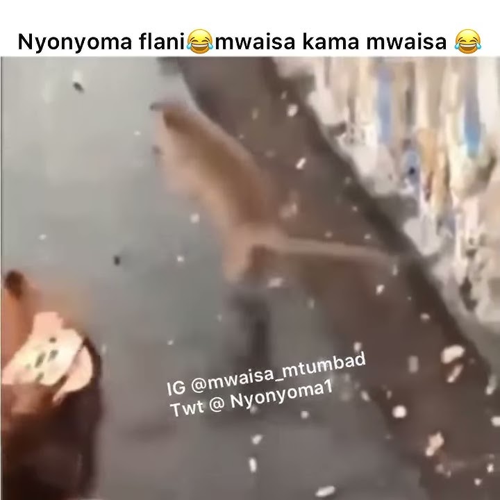 MWAISA MTUMBAD 😂😂😂😂