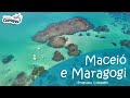 Macei e maragogi  alagoas  programa viaje comigo