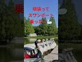 頑張ったから🦢に乗れた🤣#Shorts