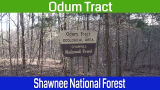 Chasing Waterfalls at Odum Tract EA in the Shawnee National Forest