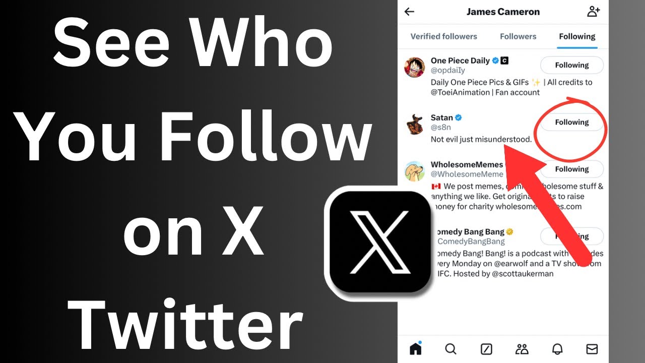 How to See who you Follow on X Twitter App