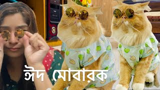 Eid Day In Cherrys Houseeid Mubarak cat eid funny dress celebration viral trending pets 
