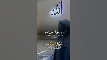 سورة الأحقاف #اكسبلور #قرآن #المصحف #سورة_الأحقاف
