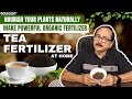         i supercharge your garden with homemade tea leaf fertilizer