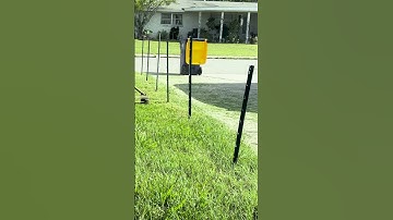 Smooth Cuts Around Every Pole | Satisfying Weed Whacking