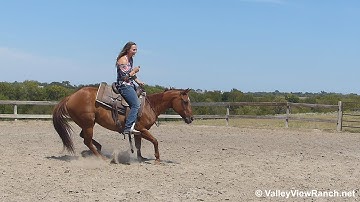 JN Acre - bridleless working mechanical cow freehanded - Valley View Ranch
