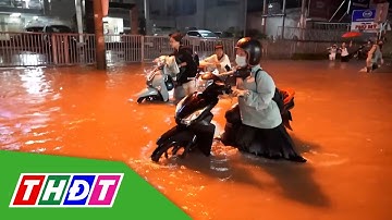 Cảnh báo ngập lụt trên địa bàn tỉnh Đồng Tháp | THDT