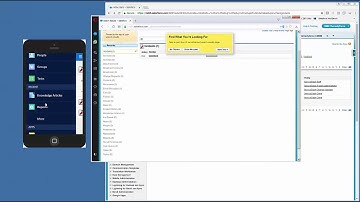 Remedyforce and Salesforce1