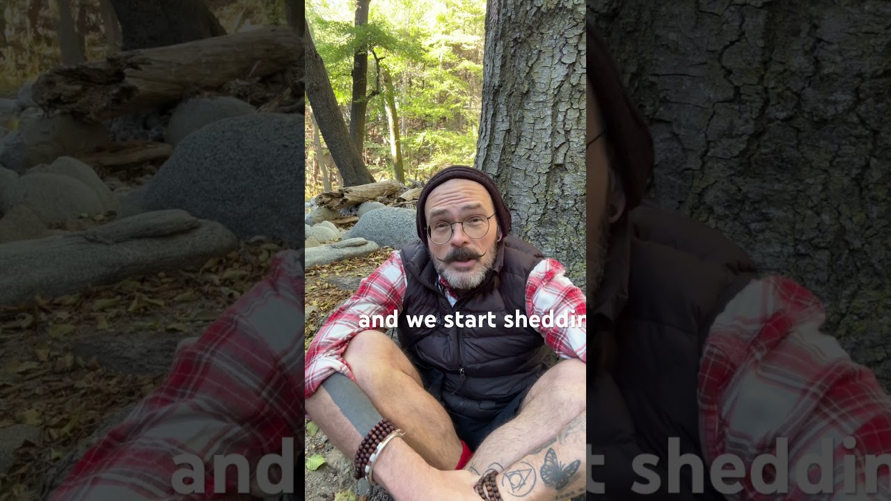 Remember Who You Are.