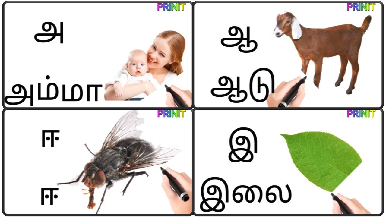 Uyir Ezhuthukal | Learn Tamil Alphabets/அ அம்மா 🤱 ஆ ஆடு 🐐 || அ ஆ இ ஈ ...