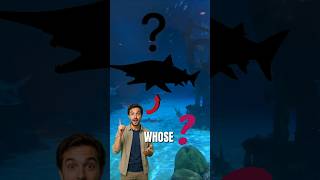 The Most Terrifying Shark You've Never Seen 😳 #facts #knowledge #short  #ocean #underwater