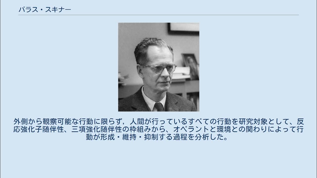 バラス・スキナー YouTube