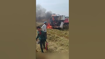 Bất lực nhìn chiếc máy gặt đập liên hợp bốc cháy #shorts