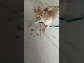 eating time