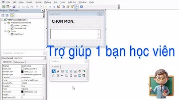 UserForm VBA Excel | Học lập trình cùng iif