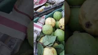 aaj ham ne  sev kharide #mandi #phalmandi